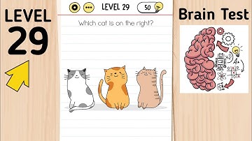 Brain Test Level 29 Which Cat Is On The Right?