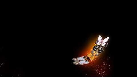 INTRO CÁNH BƯỚM BAY VÒNG QUANG