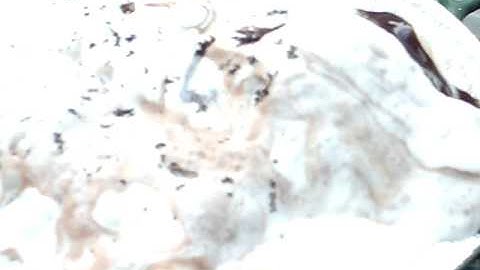 2-9 hhc medics raise money with pies