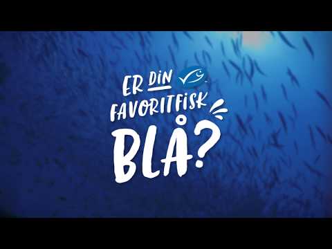 Video: Er rismarker bæredygtige?