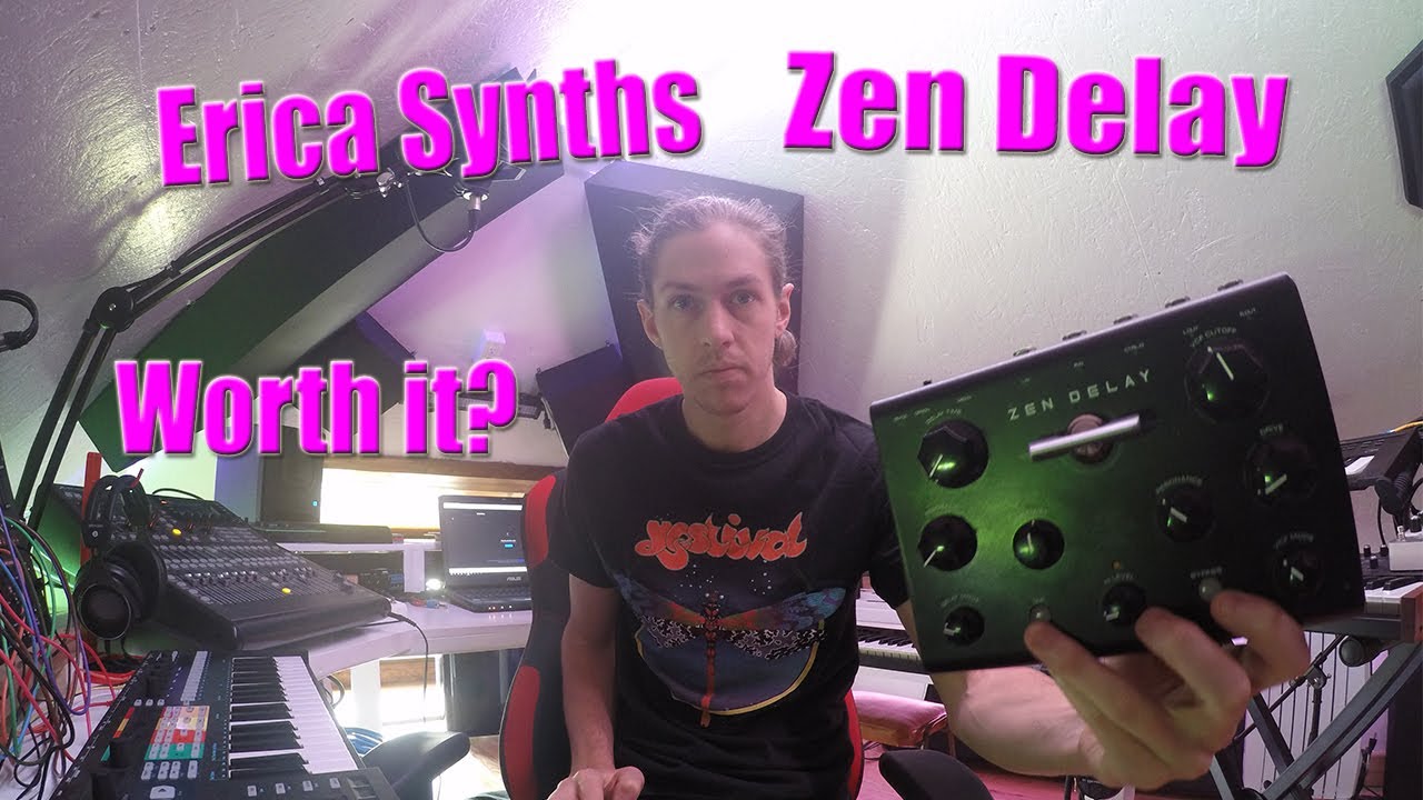 全商品格安セール 【インパクト大】Erica Synth Ninja Tune Zen Delay