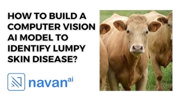 How to Build a Computer Vision AI Model to Identify Lumpy Skin Disease?