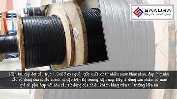 Điểm nổi bật của cáp dẹt cầu trục 1.5x8C