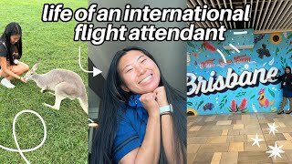 life of an INTERNATIONAL FLIGHT ATTENDANT: 50 hours in Brisbane!