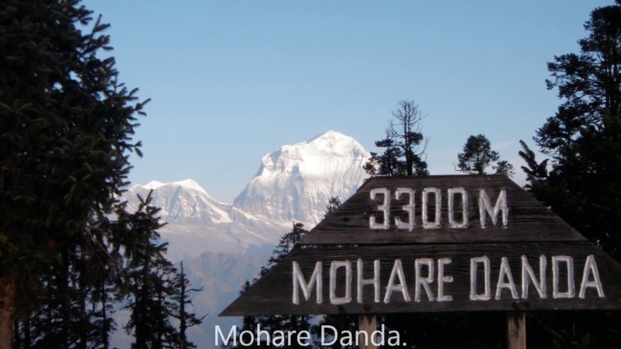 Annapurna Dhaulagiri Community Trek I मोहारे डाँडा देखि खोप्रा डाँडा ट्रेक