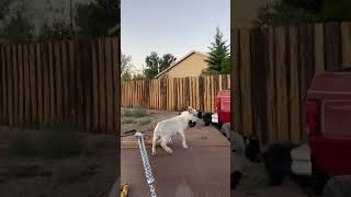 Tuck and roll 👏🏼