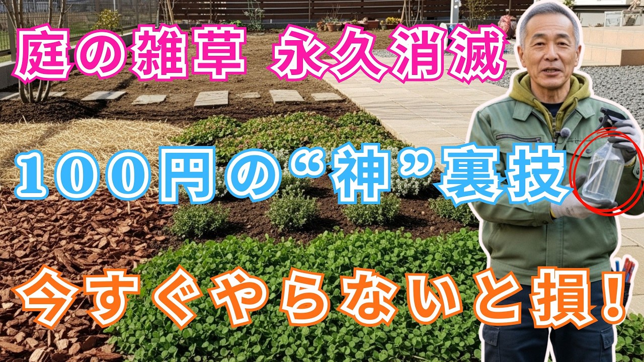 【絶対に失敗しない】100円で雑草が永久消滅！プロが教える「二度と生えない神技」今すぐやらないと一生損します！  天然除草剤  シニア ガーデニング
