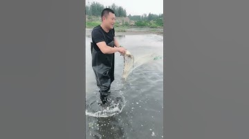 how to throw fishing net Cast net falling Underwater 1