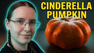 Cinderella Pumpkin | Halloween (#34 ) (S5)
