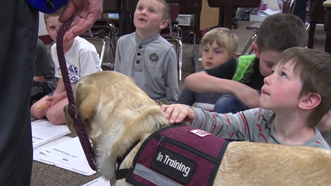 School Resource Dogs in Lakeville June 2017 YouTube