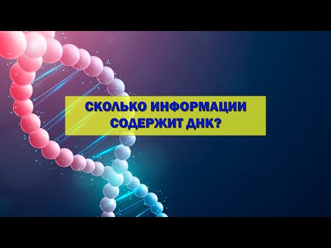 Видео: Сколько информации в ДНК?