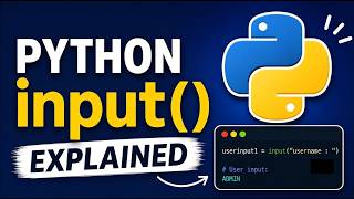 Python input() Made Simple | Learn Python Step by Step