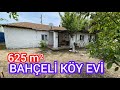 Manyaskiziksada ky gr 625 m mstakl bol meyve aali