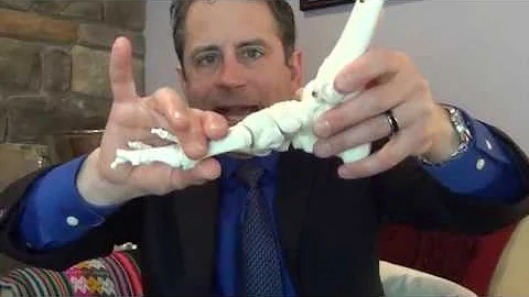 What is Morton's Neuroma?