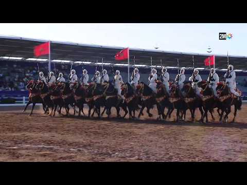 El Jadida Horse Exhibition: Wednesday, October 14, 2026