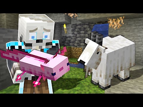 Video: Zal mijn axolotl despawnen in minecraft?