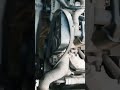 Car Engine Belt Noise 🙂#shorts #cartips #viral #rzcarideas