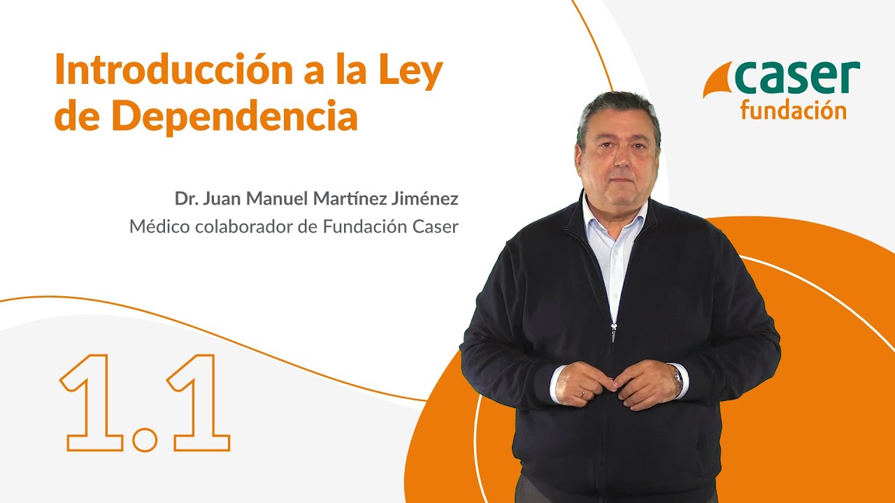 ¿QUÉ es la LEY de DEPENENCIA? | Fundamentos y objetivos clave