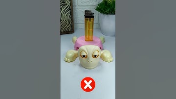 What do you want me to put on top of this turtle? #turtle #coaster #turtlecoaster 100