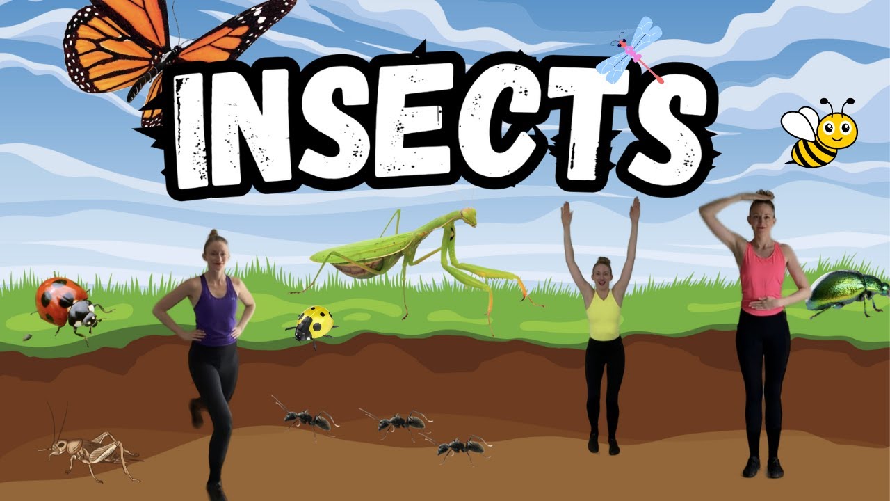 Insects | This or That | Kids Workout - YouTube