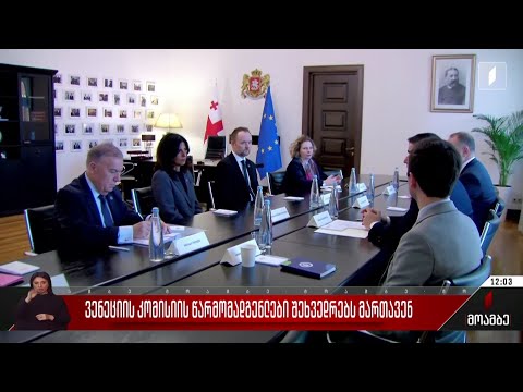 ვენეციის კომისიის წარმომადგენლები შეხვედრებს მართავენ