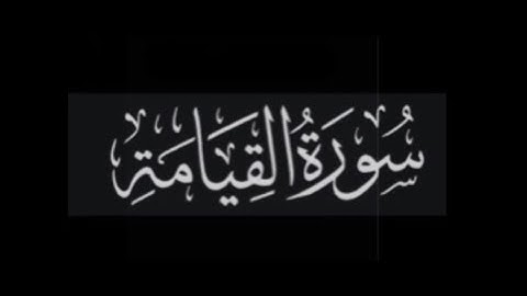 سورة القيامة القارئ/ ياسر الدوسري