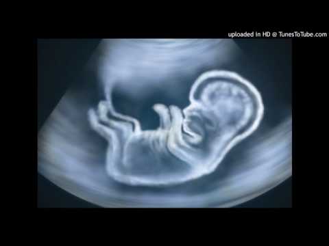 Video: Je li 135 normalan fetalni otkucaj srca?