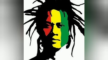Tony Q Rastafara feat Steven Coconut - Don