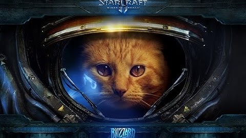 Starcraft 2 - Desert strike #6