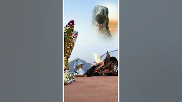 ياطير ياللي بالتغاريد غنيت 