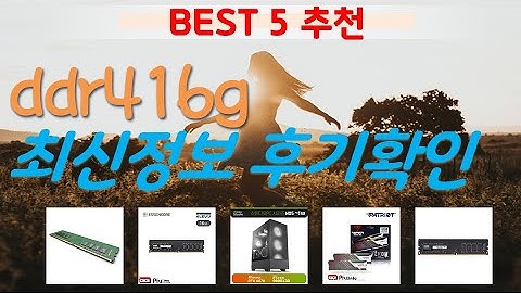 ddr416g 추천, 2024년추천제품 가성비 TOP5