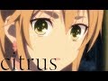 Holding Hands | citrus