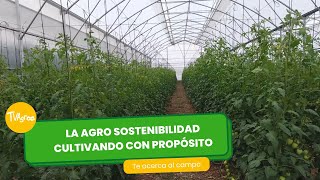 La agrosostenibilidad, cultivando con propósito - TvAgro por Juan Gonzalo Angel Restrepo