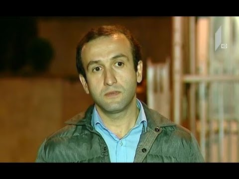 ზურაბ ჯაფარიძე გაათავისუფლეს