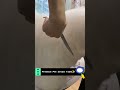 Puppy Grooming Scissors ✂️ Soft, Safe & Precise Trimming