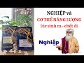 NGHIỆP / KARMA - SADHGURU - 19