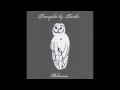 Trampled By Turtles - Wait So Long Mp3 Song