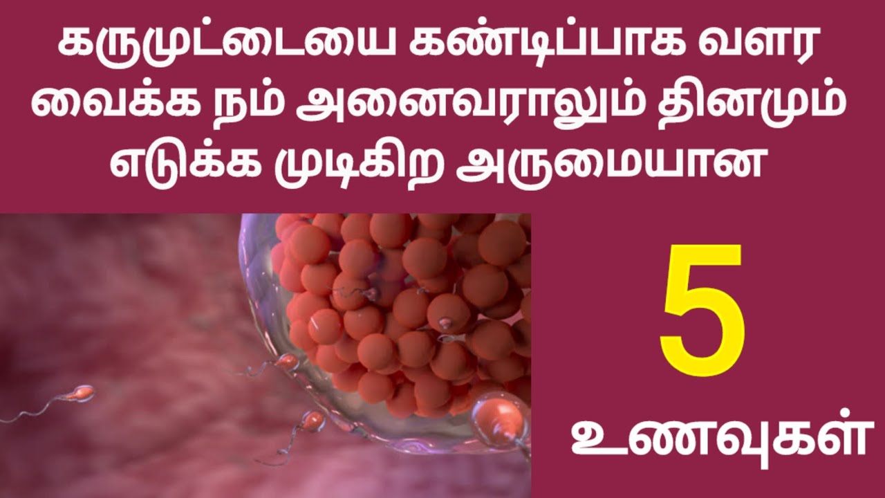 easy available must eat foods for healthy egg growth get pregnant tamil