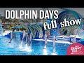 Dolphin Days Full Show | SeaWorld San Diego 2021