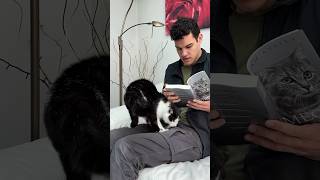 A life changing book - Meow #SpringOnShorts