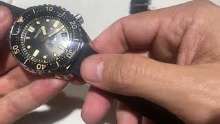 Vídeo: Seiko Prospex Save The Ocean Reedicion 1968