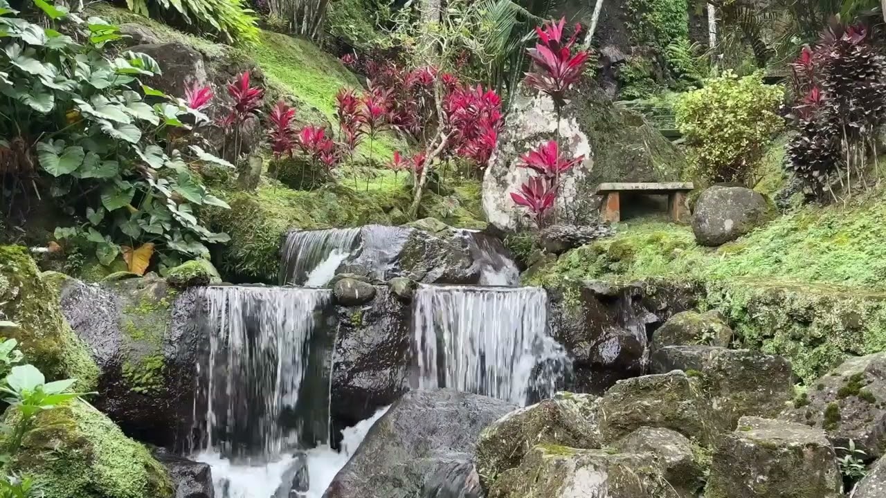 River Sounds for Relaxation: Unwind and Relax with the Soothing Sounds of a River 