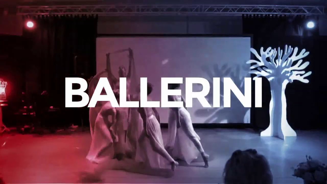 Questions and answer - PosainOpera Company