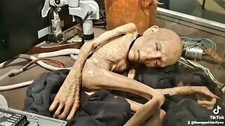 Creatures of Harry Potter #shorts Fantastic beasts & where to find them. The making of Harry Potter