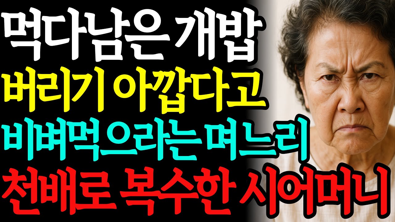 먹다남은 개밥 버리기 아깝다고 비벼먹으라는 며느리에게 복수한 시어머니 | 황혼 | 실버 | 노후사연 | 부모자식갈등 | 오디오드라마