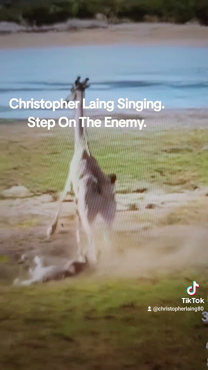 Step On The Enemy. Song by Christopher Laing.