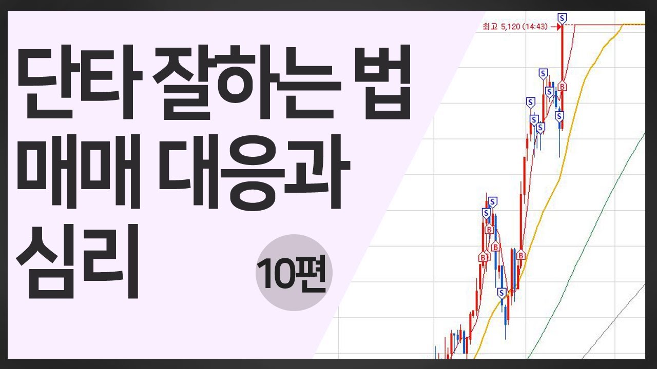 10편 단타 잘하는 법 매매 대응과 심리