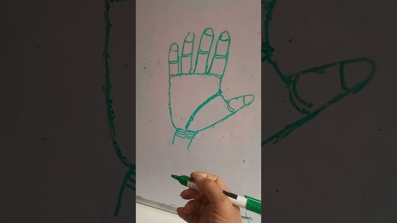 మన  చేతిలో  మన అదృష్టం   జీవిత రేఖ గురించి  మీకోసం  