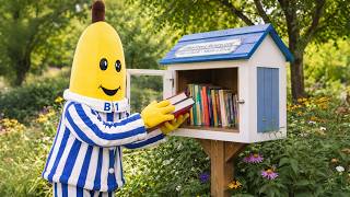 ERMAHGERD - I'm putting books in the street library - Episode 97 - Adelaide