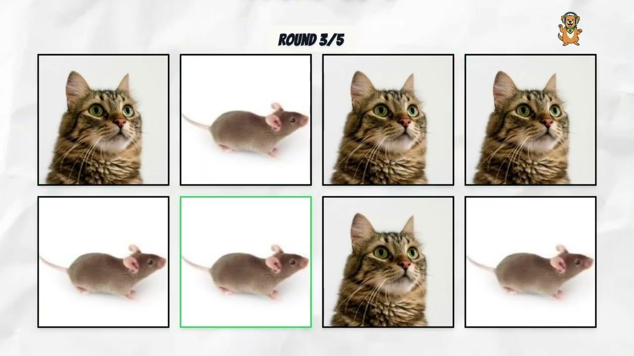 DIGA A PALAVRA NA BATIDA VERSÃO ANIMAIS! (Desafio Musical) Gato, Rato, Pato